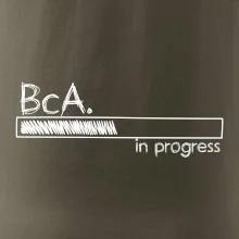 In progress titul BcA. bakalár / bakalárka umenia