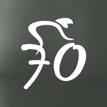 Cyklista oslavuje sedemdesiatku (70)