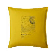 Plechý - vrstevnice v obdĺžniku