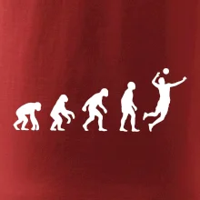 Evolúcia volejbal muž
