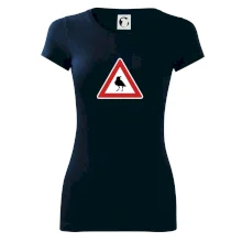 Dopravná značka - Pozor havran