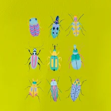 Farebné chrobáky (studio-arte.cz)
