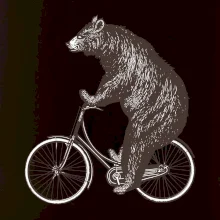 Medveď na bicykli