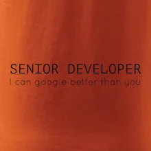 Senior developer google better than you