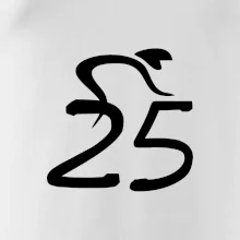 Cyklista oslavuje dvadsaťpäťku (25)