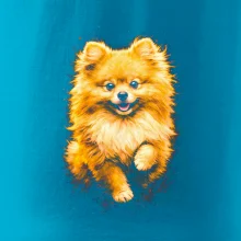 Obrázok poltón Pomoranský špic