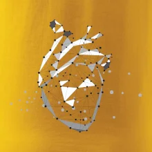 Ľudské srdce Ľudské srdce