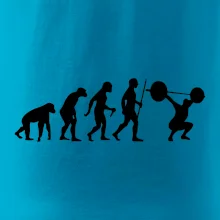 Evolution fitness