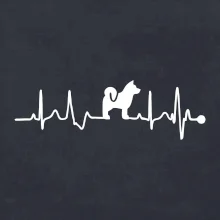 Shiba-Inu EKG