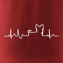 Yorkshirský teriér EKG
