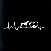 Chrt - Ekg Chrt - Ekg