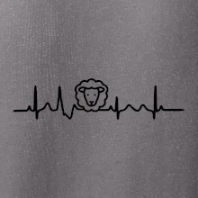 Ekg ovce