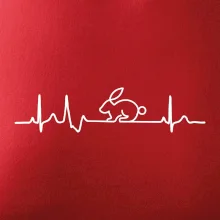 EKG králik EKG králik