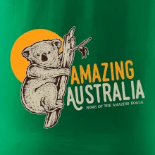 Amazing Australia koala Amazing Australia koala
