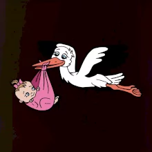 Bocian a bábätko - dievča (Hana-creative) Bocian a bábätko - dievča (Hana-creative)