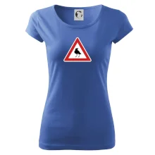 Dopravná značka - Pozor havran