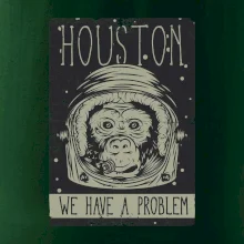 Houston we have a problem