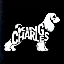 Kavalier king Charles španiel nápis v tele
