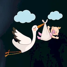 Bocian čakáme bábätko - dievča Bocian čakáme bábätko - dievča