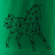 Geometria - kôň