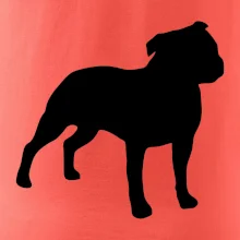 Americký stafordšírsky teriér Na prsníku