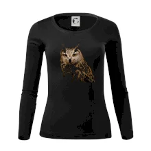 Sova fotka Sova fotka