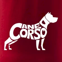 Cane corso nápis v tele