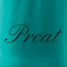 Prcat (súložiť vulgárne) Prcat (súložiť vulgárne)