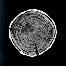 Letokruhy 95 bez veku Letokruhy 95 bez veku