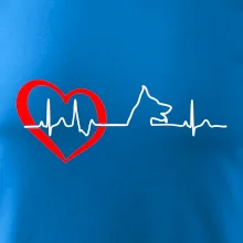 Nemecký ovčiak ekg