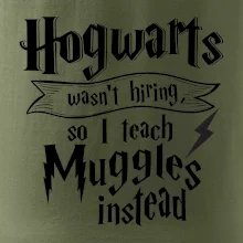 Harry - Hogwarts wasn’t hiring, so I teach Muggles instead