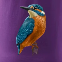 Ľadnáčik kreslený