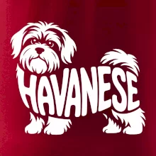 Havanese nápis v tele