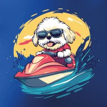 Lhasa Apso na vodnom skútri