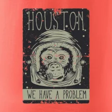 Houston we have a problem Houston we have a problem