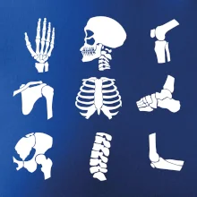 Röntgen - ikony Röntgen - ikony