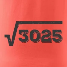 Narodeniny odmocniny 55