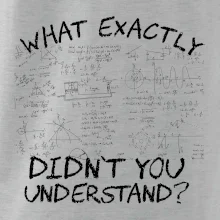 What exactly didn't you understand - physics