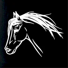 Kôň - hlava celá