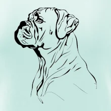 Boxer čierna kresba