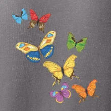 Farebné motýle Farebné motýle