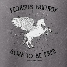 Pegasus fantasy