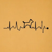 Ekg psí obrys Ekg psí obrys