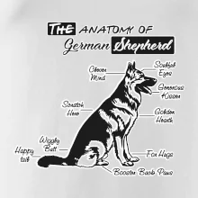 Nemecký ovčiak - Anatómia