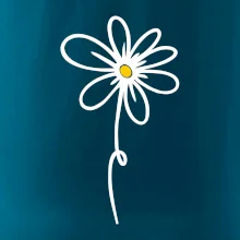 Kopretina - dole na výšku