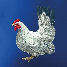 Sliepka kreslená biela Sliepka kreslená biela