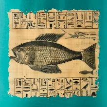 Egyptské hieroglyfy ryba