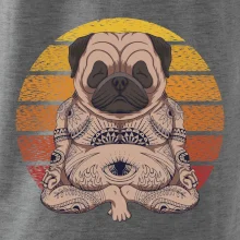 Yoga meditace - pug