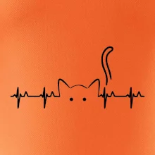 Mačka EKG