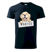 Zlatý retriever - šteniatko wanted